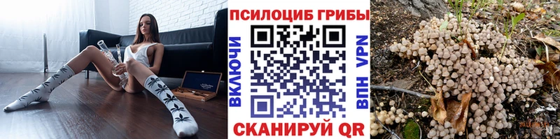 Псилоцибиновые грибы прущие грибы  дарнет шоп  Вольск 