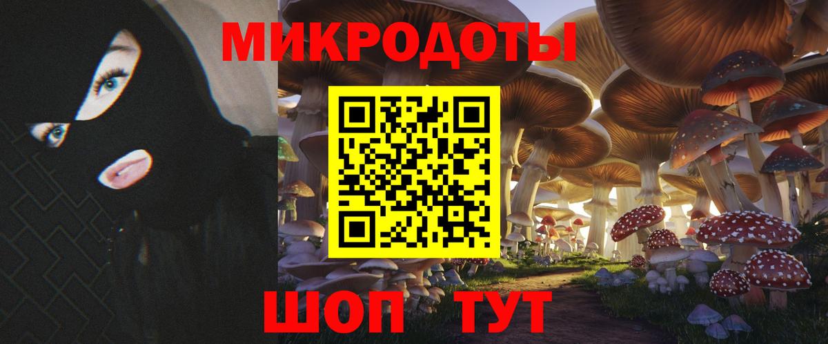 Галлюциногенные грибы Psilocybine cubensis Вольск