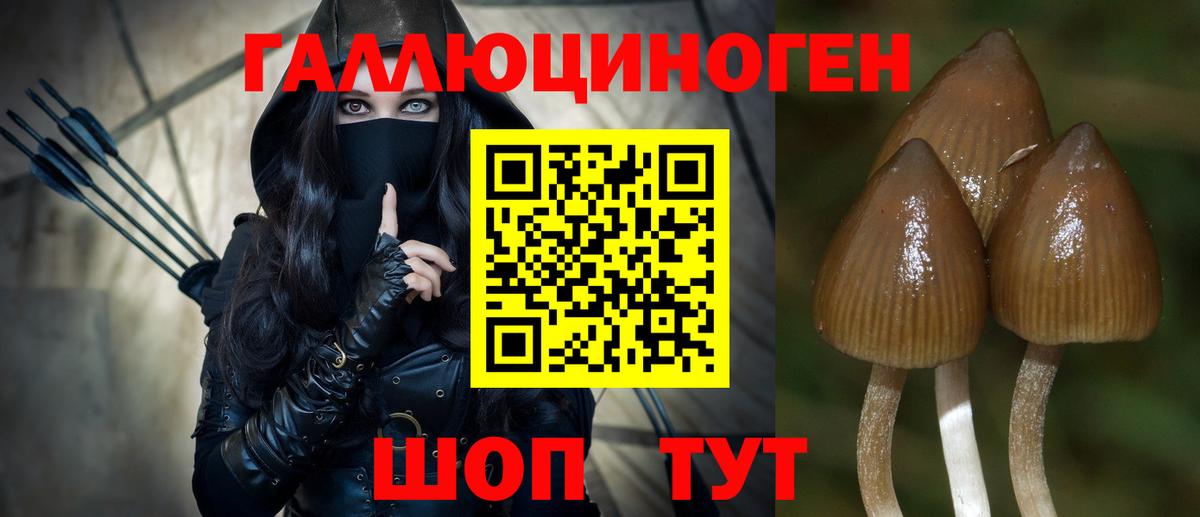 Вольск  Галлюциногенные грибы прущие грибы  купить   Вход с VPN  Галлюциногенные грибы GOLDEN TEACHER 